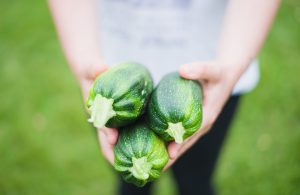 zucchini squash in a person's hands with a green grass background